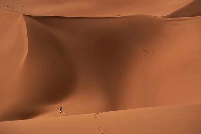 Sand dunes in the Empty Quarter desert